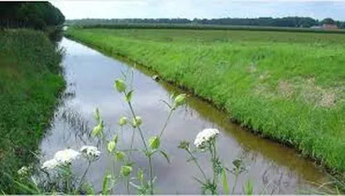 gcih7e4ka7t16ooajij0ch346 water