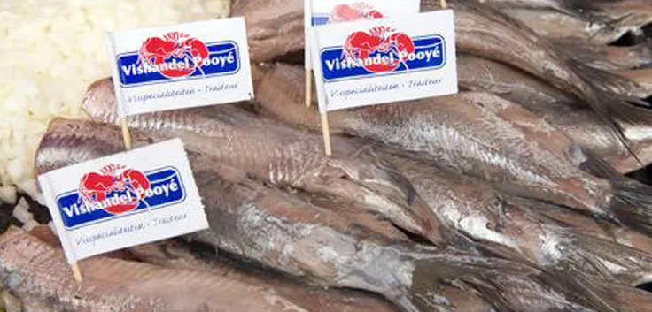 h03ok6m2dgjby58rbrpj08e8d haring