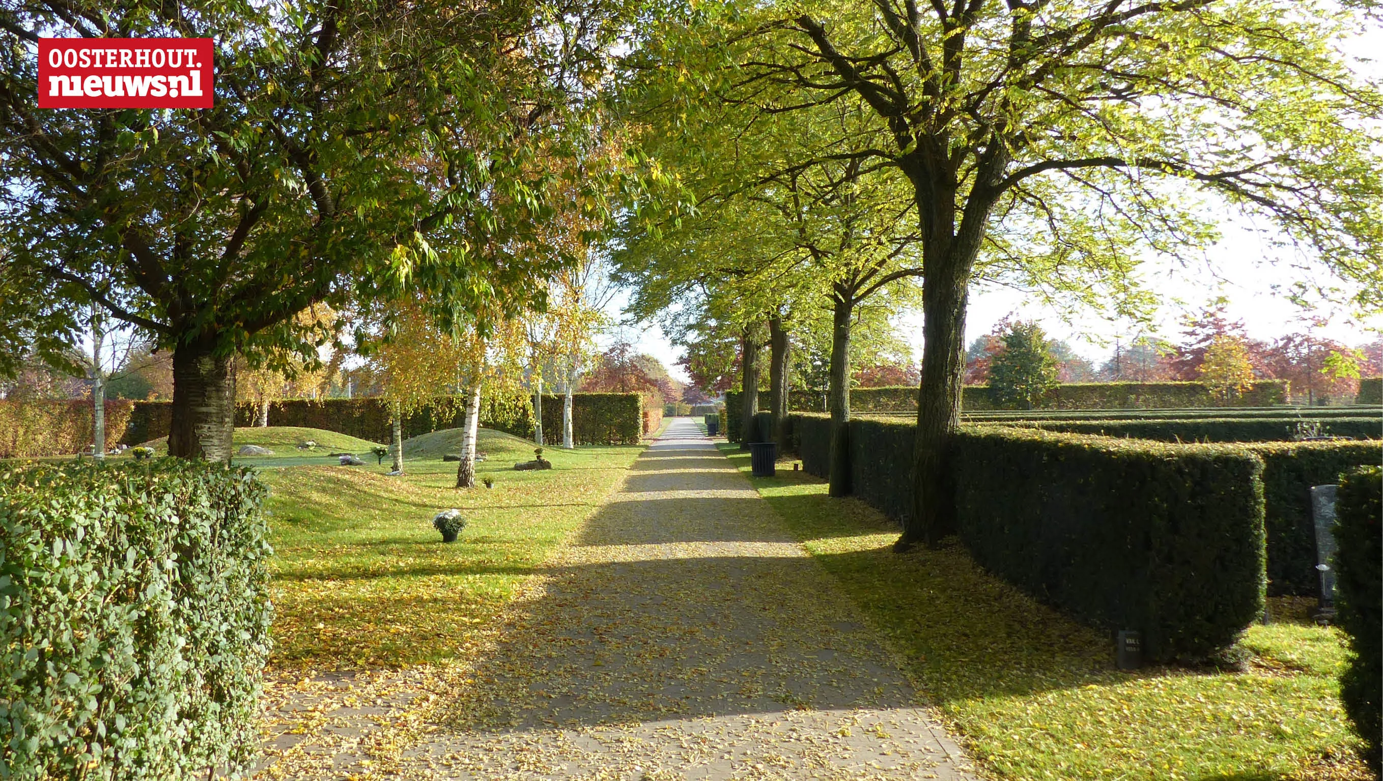 leijsenakkers