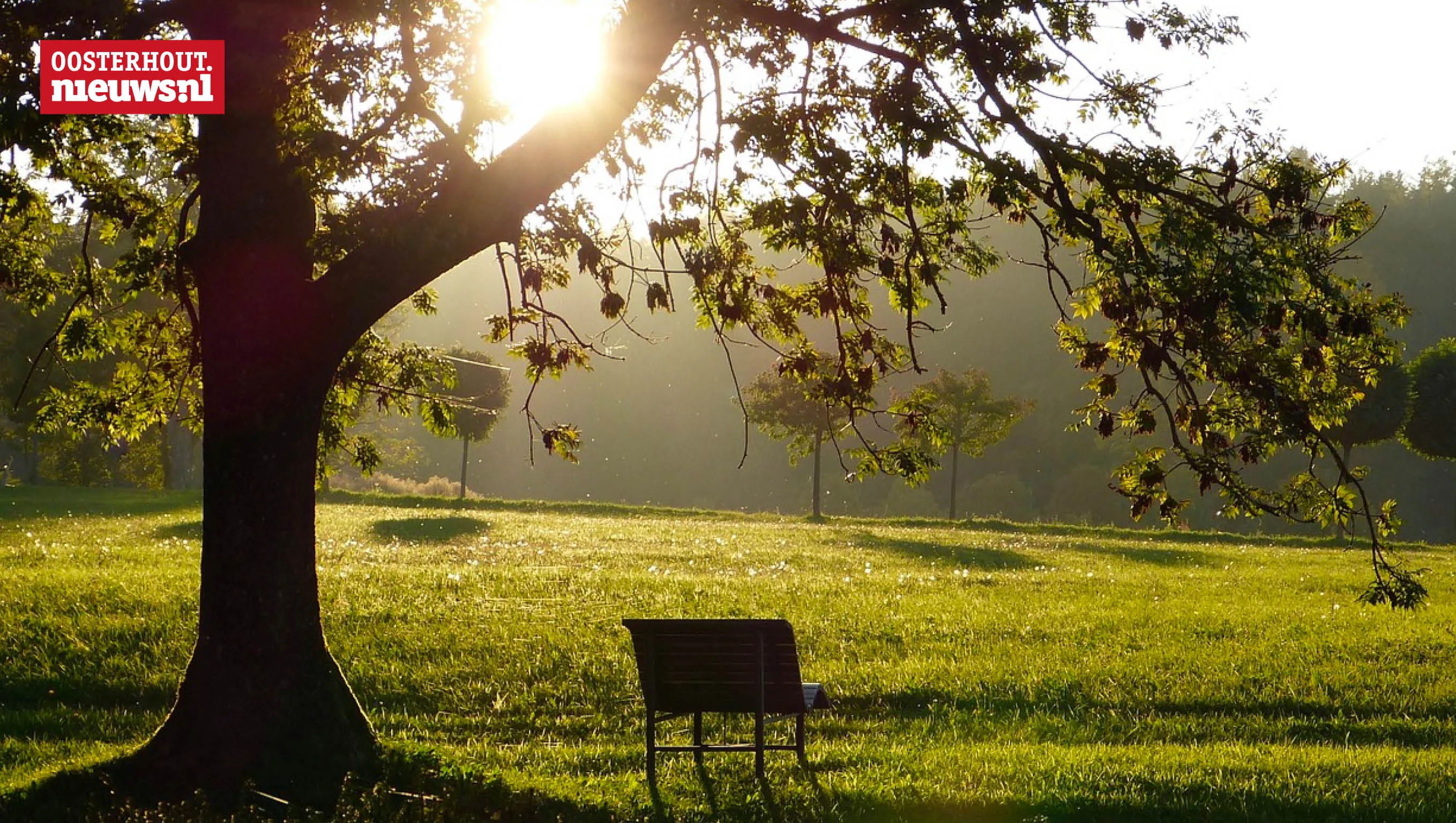 park bankje stemming rouw