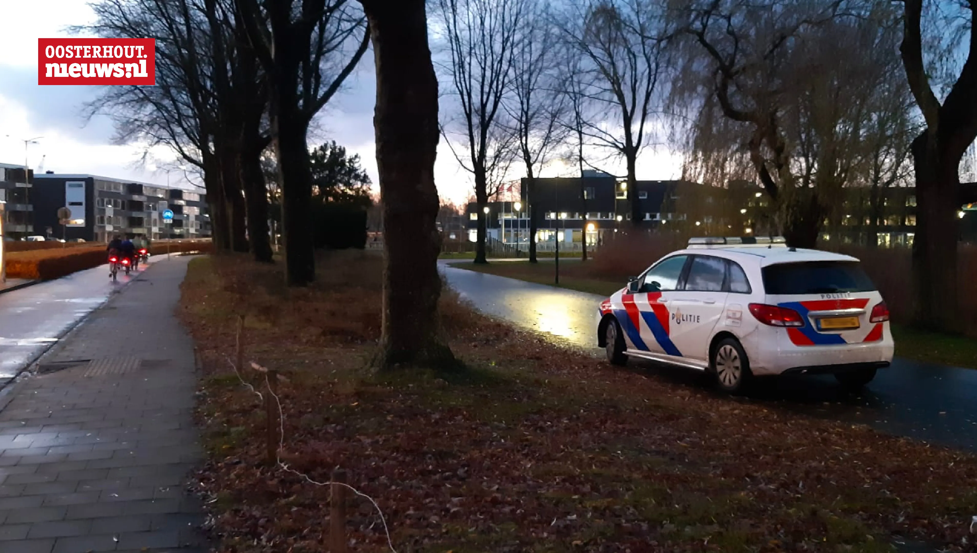 politie controle