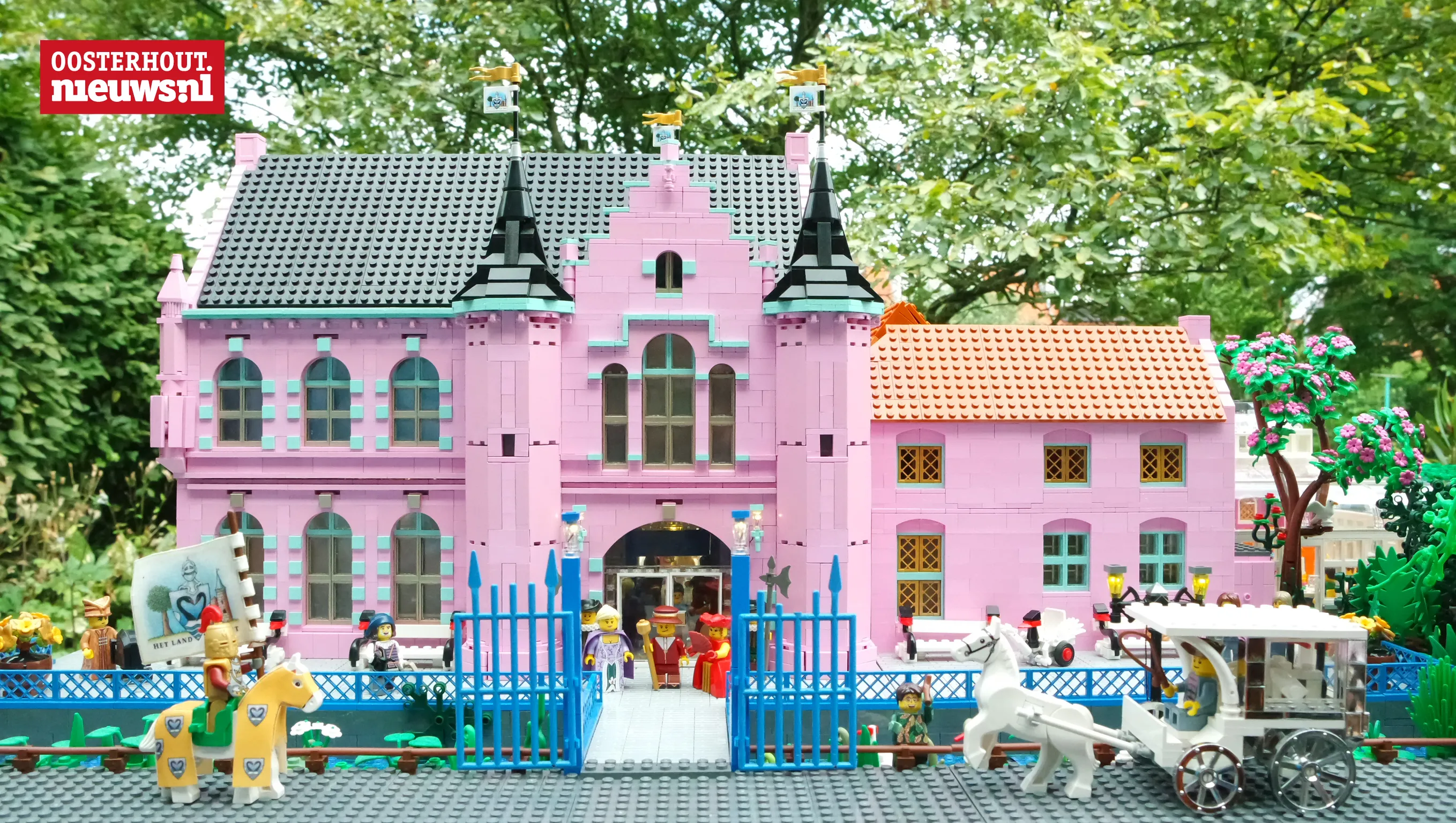 roze kasteel land van ooit lego