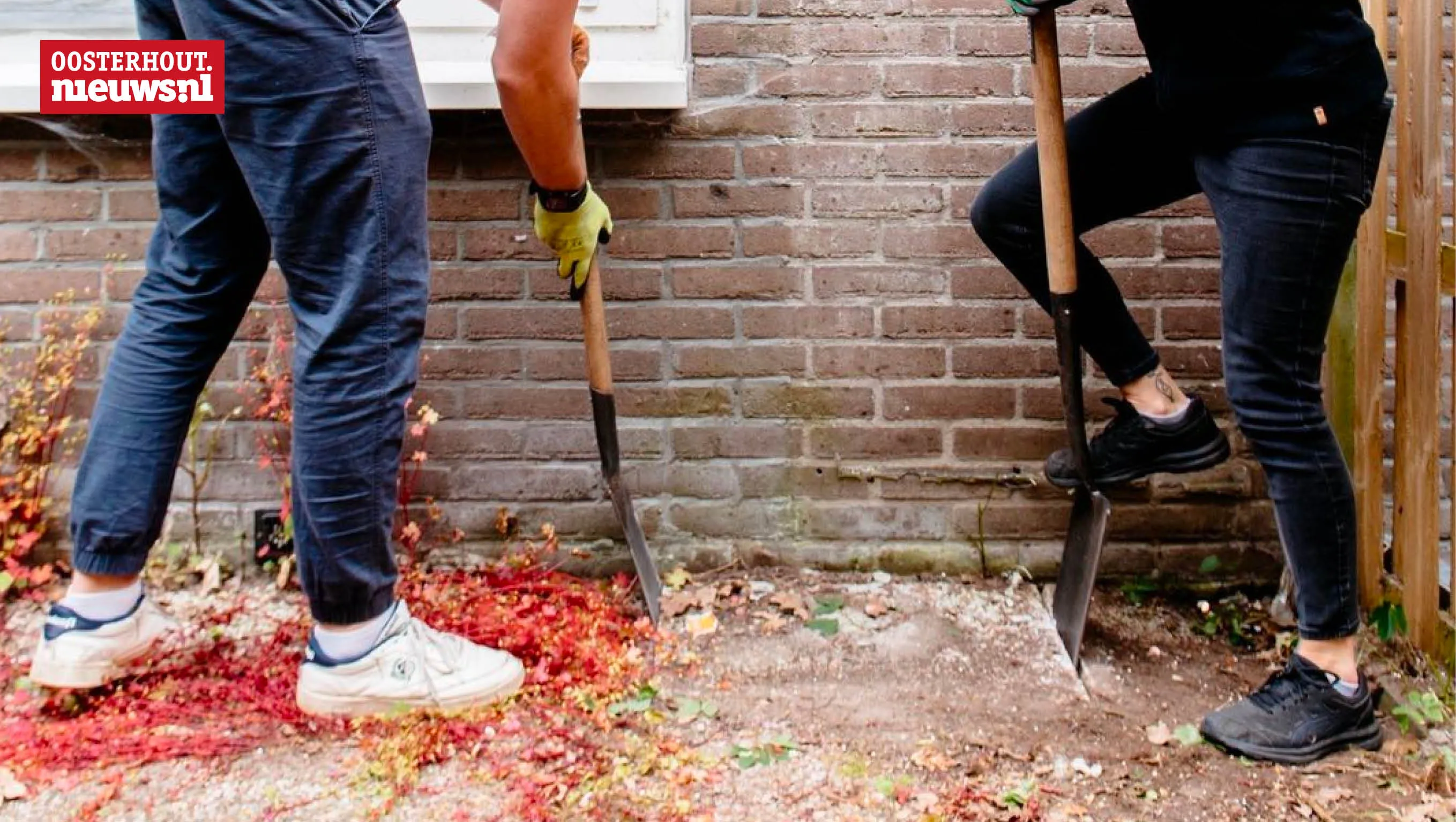 tegelwippen