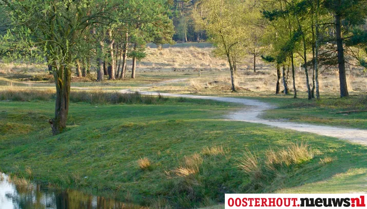 bossen dorst