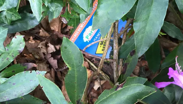 entreebewijs parkfeest