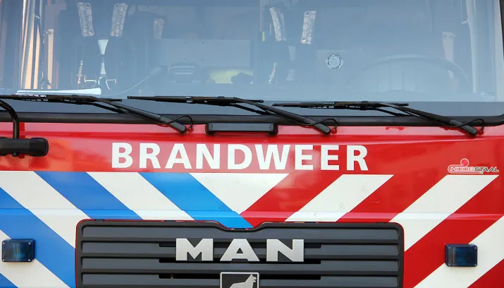 man bluswagen1 715x408