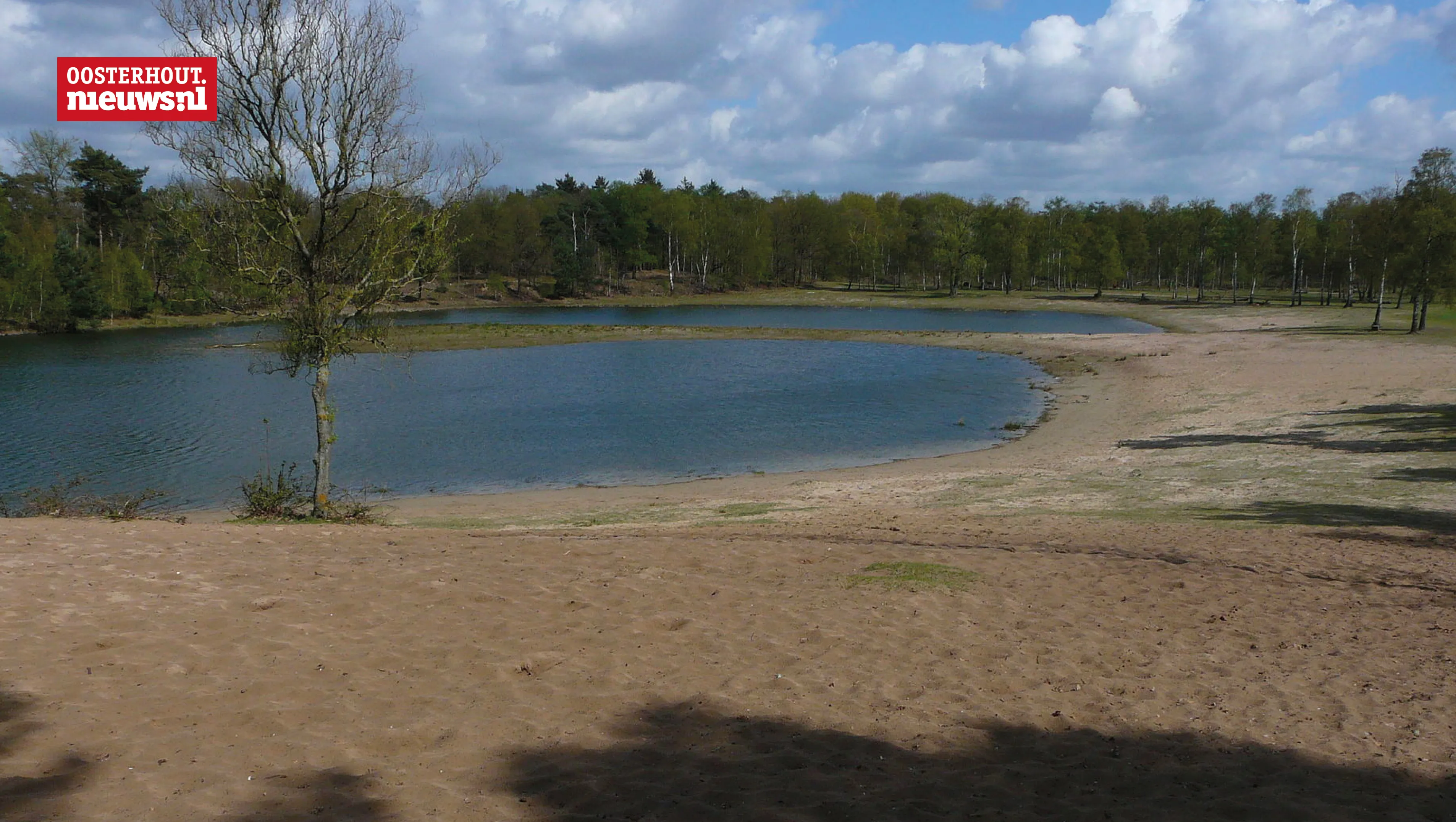 voormalig surea dorst bossen