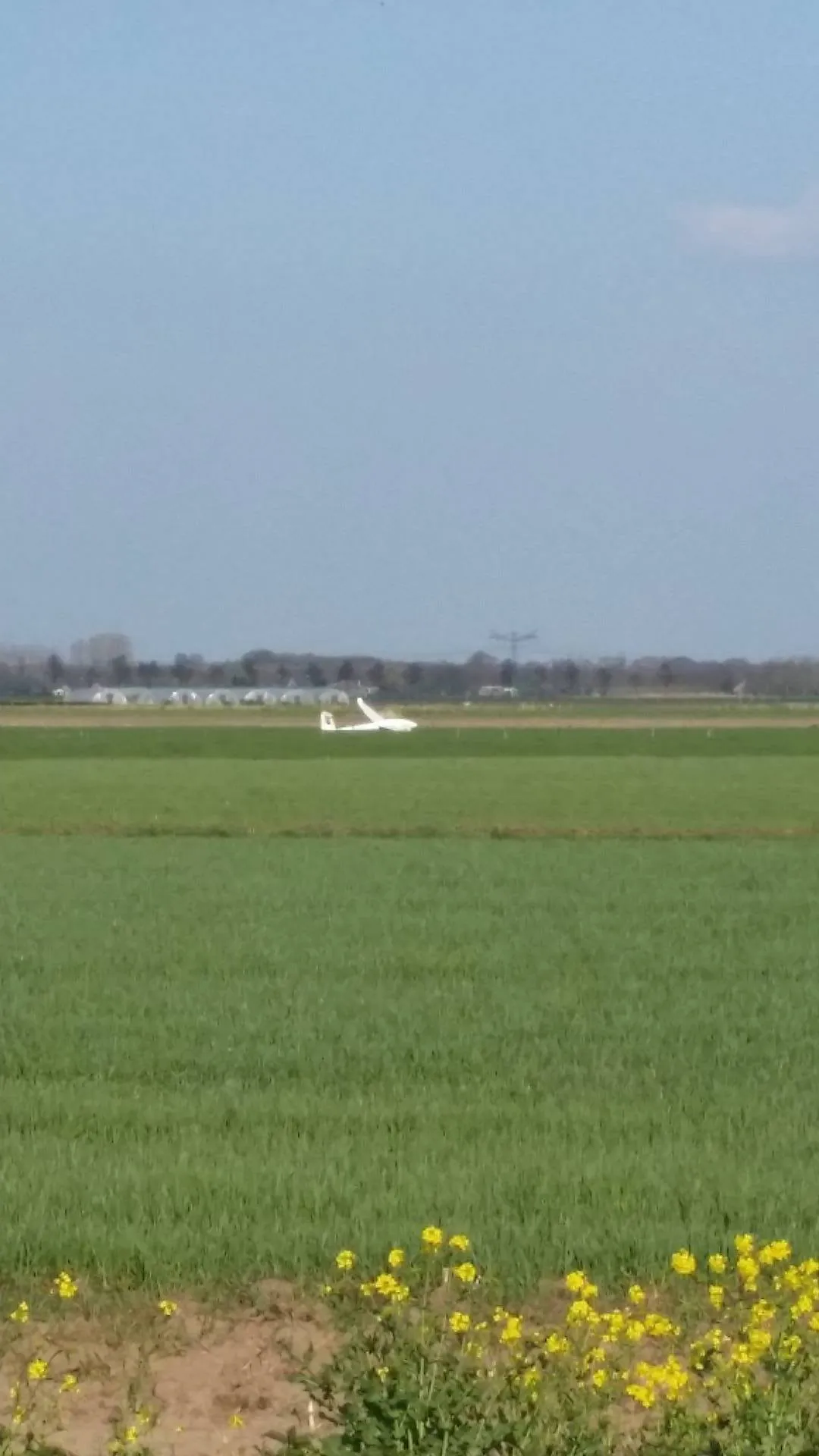 12991983 10209746515485967 1652988154 o