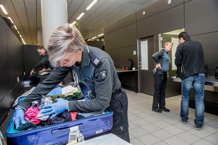 2007 399df8e86dec952cdfed893d5adfbb80