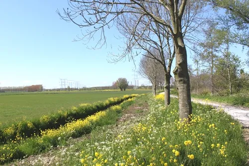 20160501lentebloesem klein