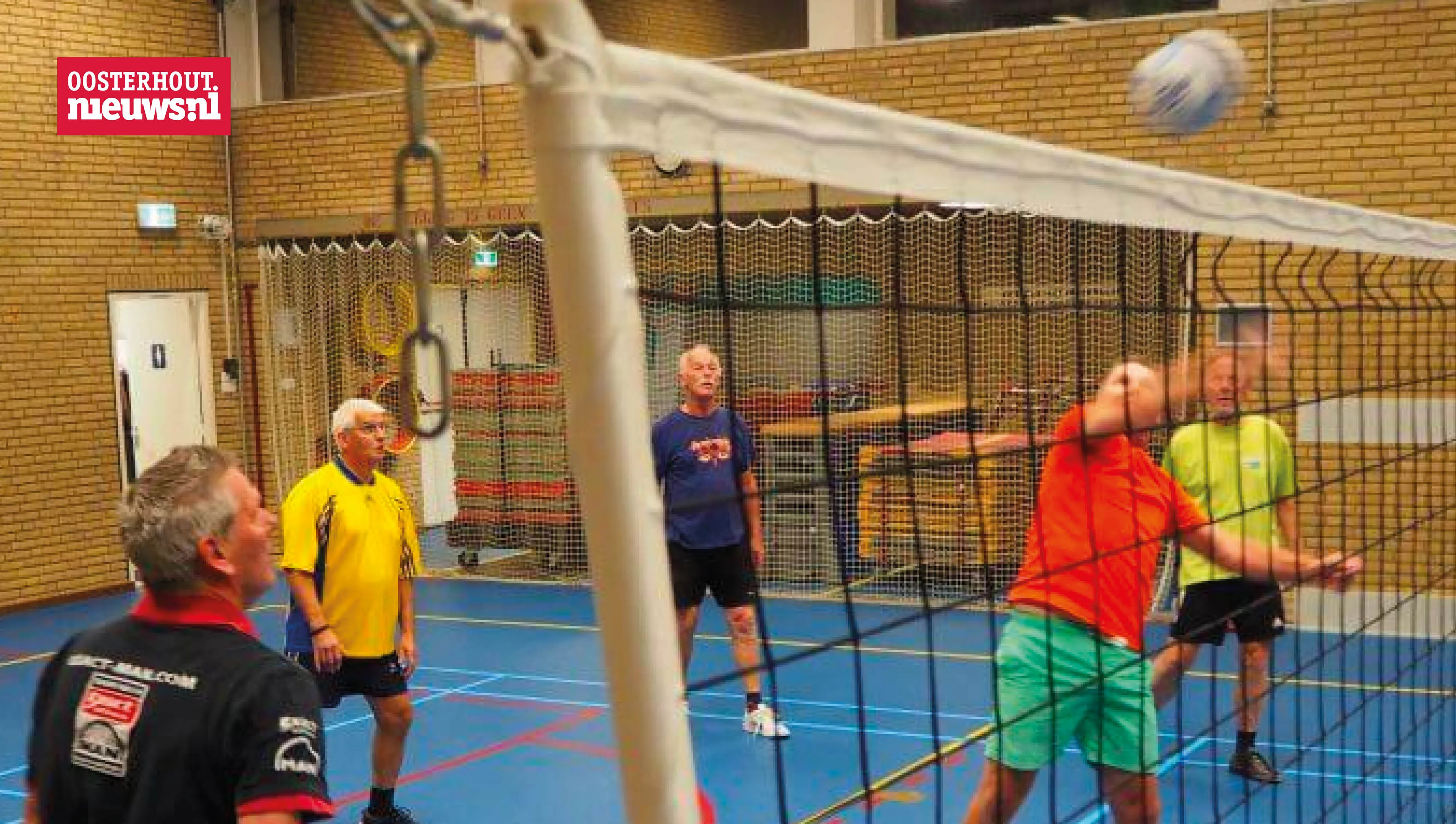 aro volleybal