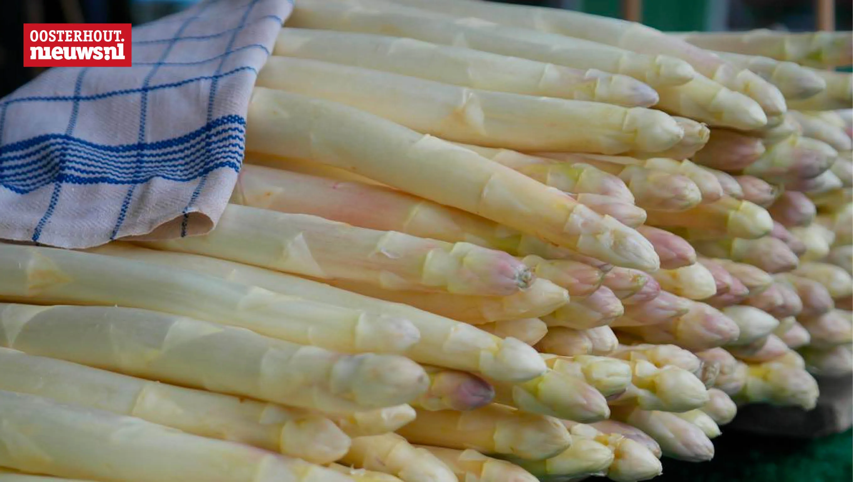 asperges 1