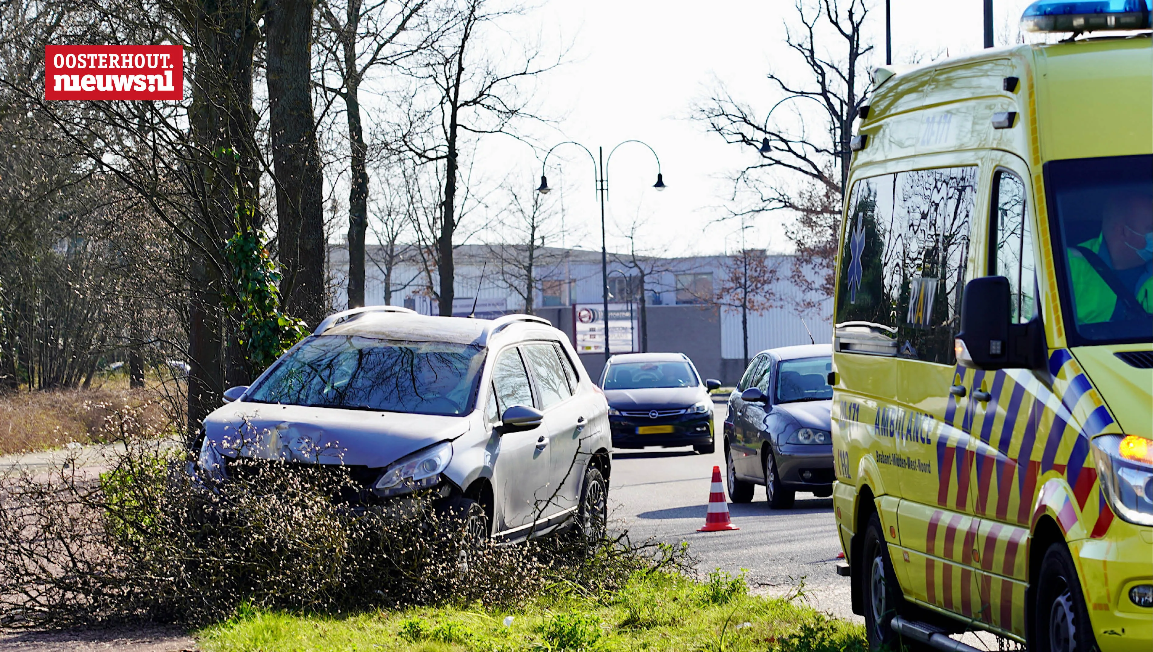 auto bosjes