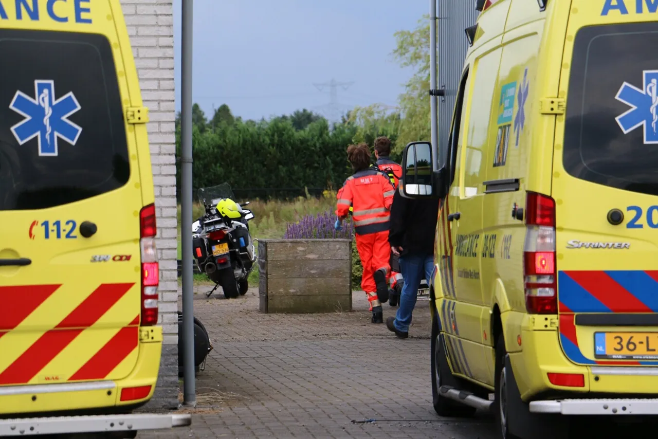 b8om7r9v629u36cpx0bkl46x7 image 7