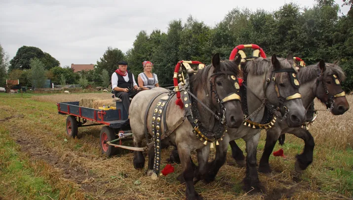 boerenfair jacobushoeve