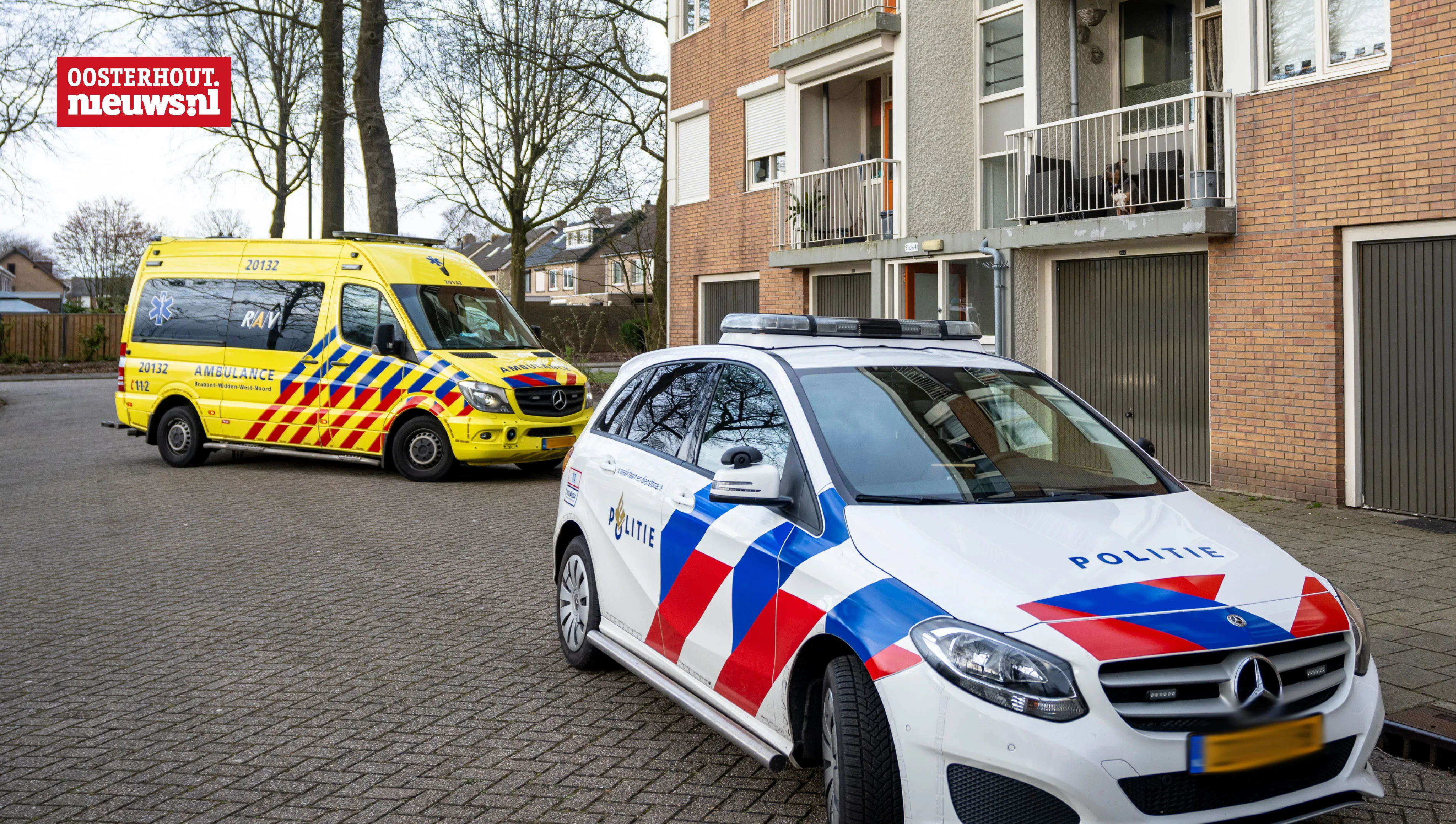 boerhaavelaan 1