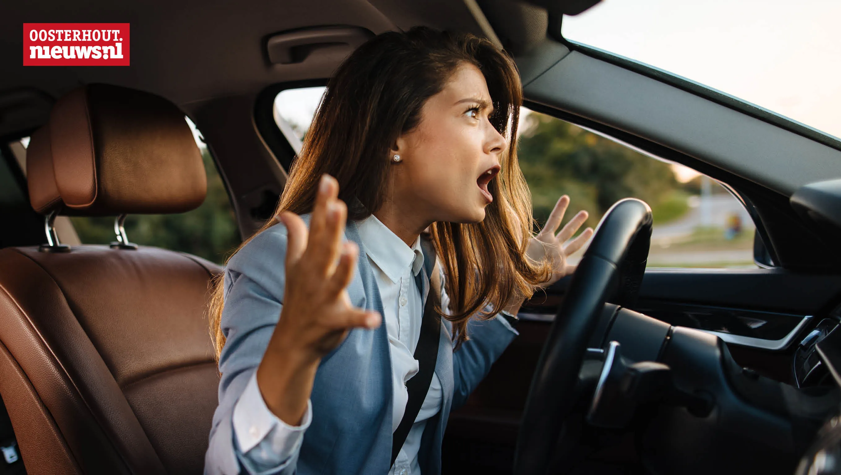 boos auto bestuurder