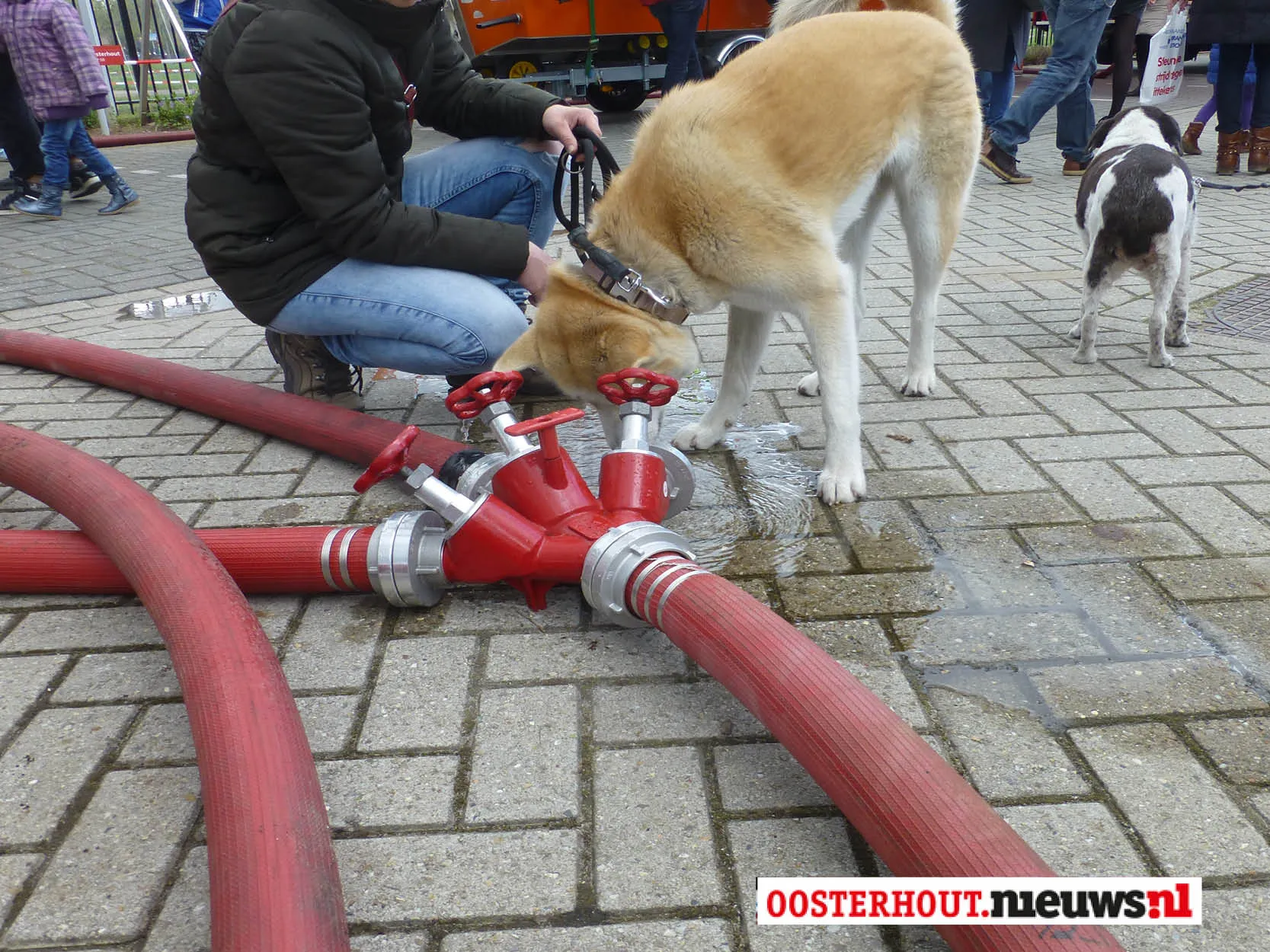 brandweer open dag12