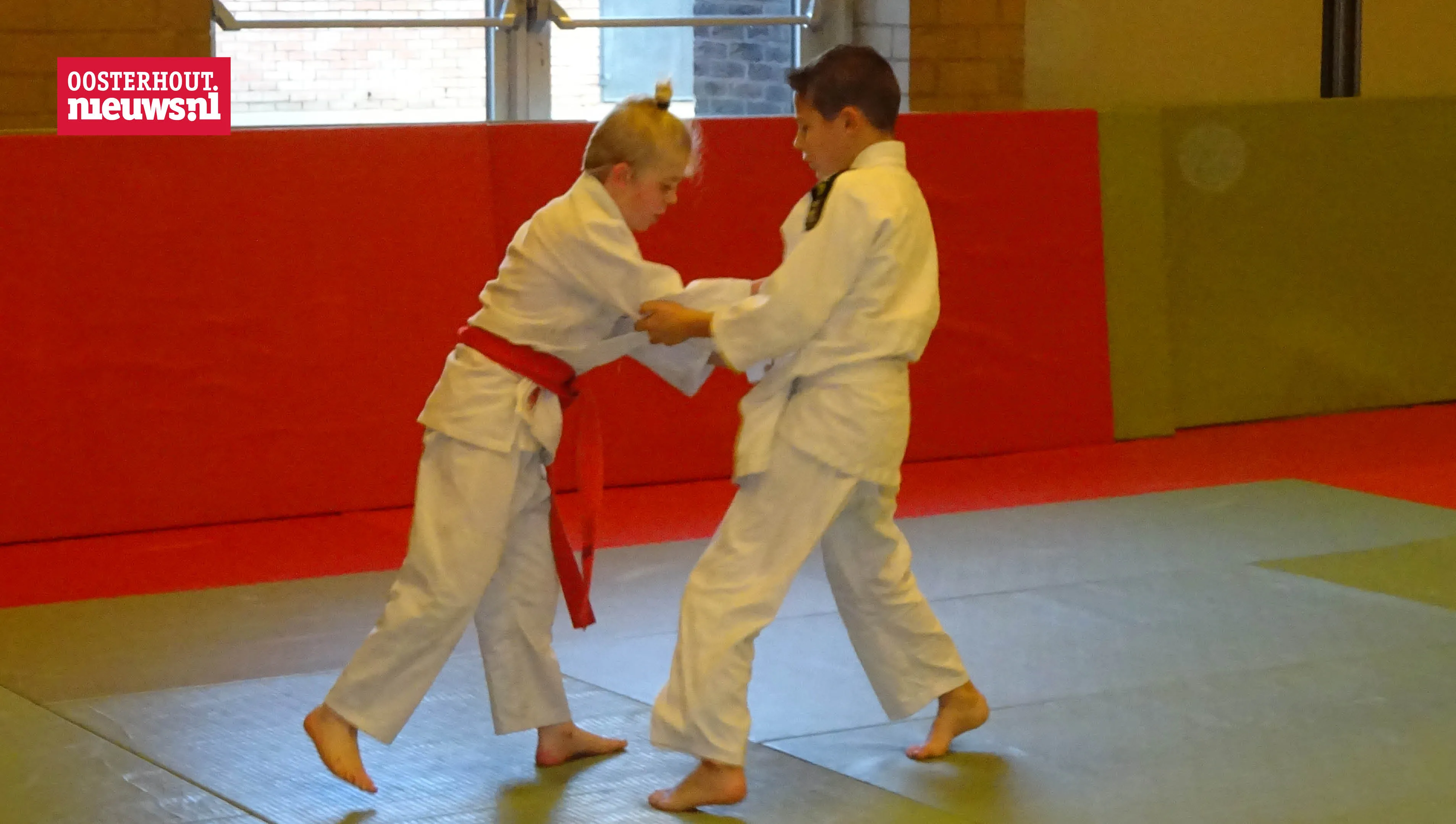 chikara judo