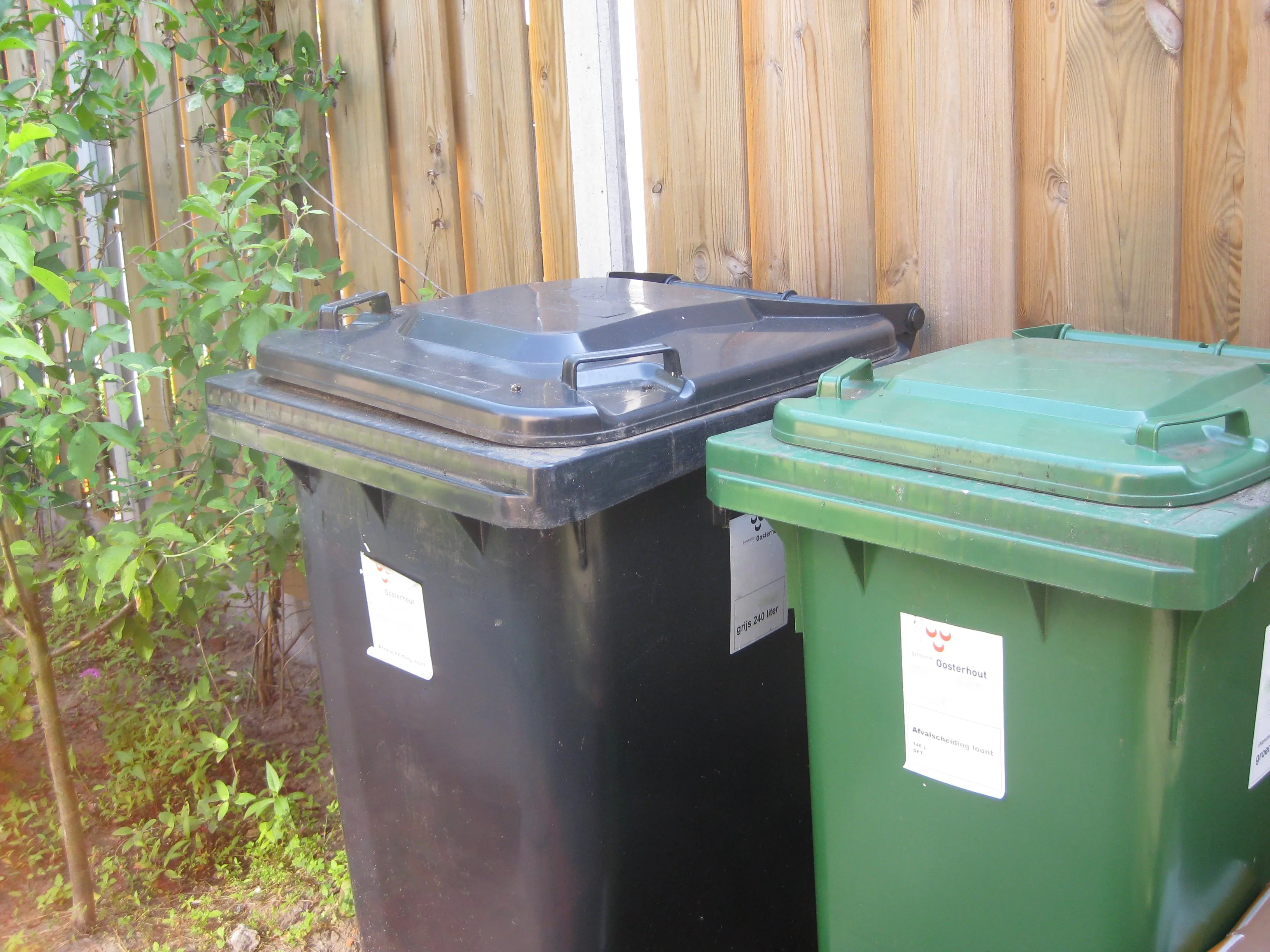 chp94isqawsx4hzxgc0camkvo kliko