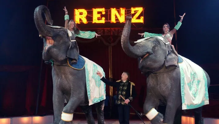 circusrenz