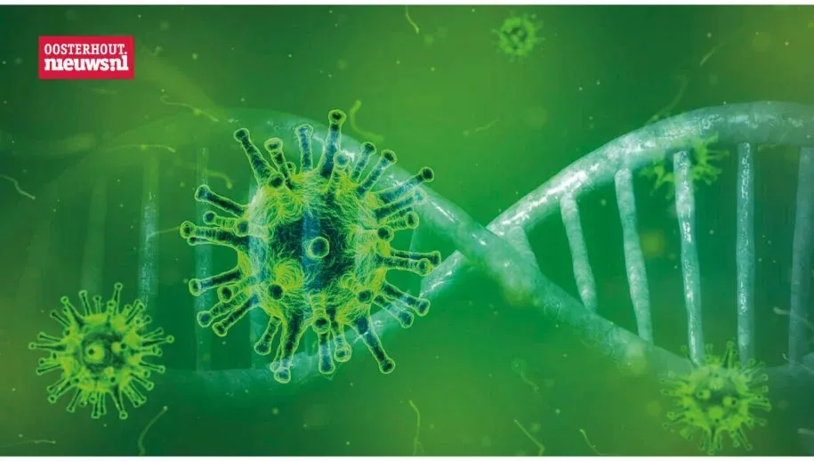 corona virus 915x518 1