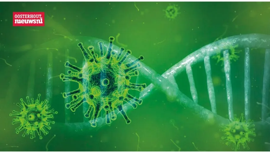 coronavirus 915x518 1