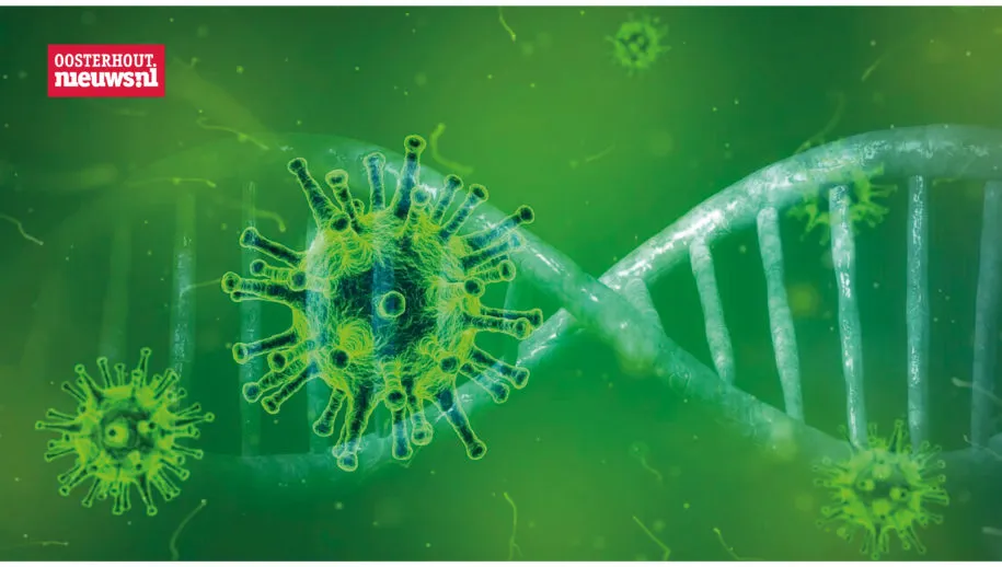 coronavirus 915x518 1