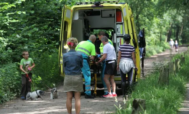 dafyvson5xmf3ffe6596dvh9q amazone