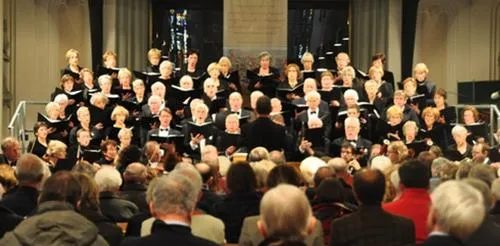 g5zq28mxjm8x089sudnml5za5 aurora