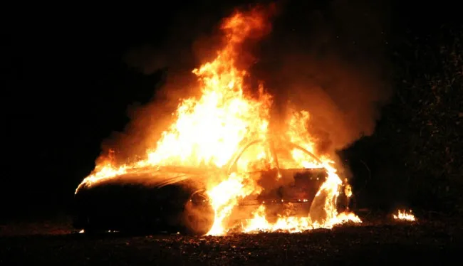 g7zr3dzs5tqou6k9fiy1lqfyz autobrand1