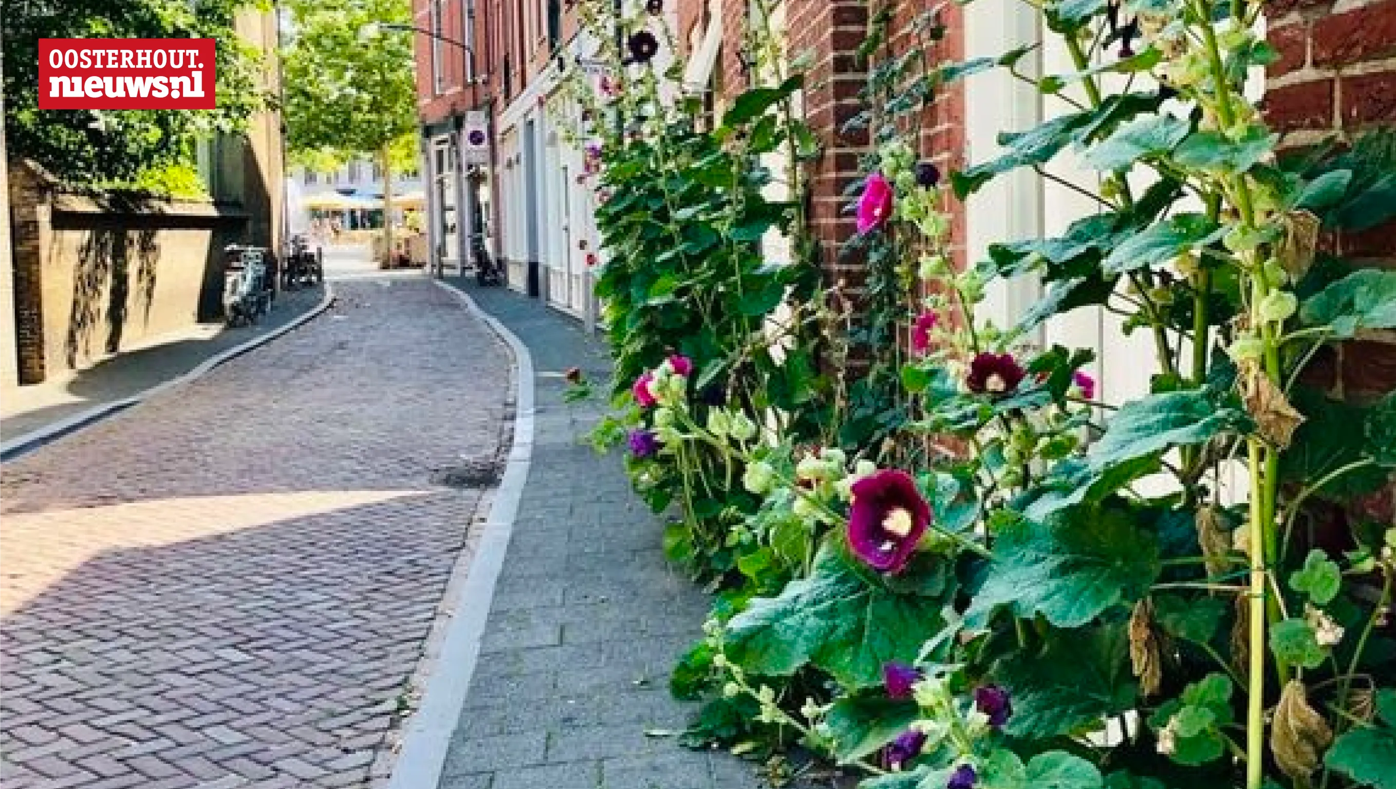 geveltuin