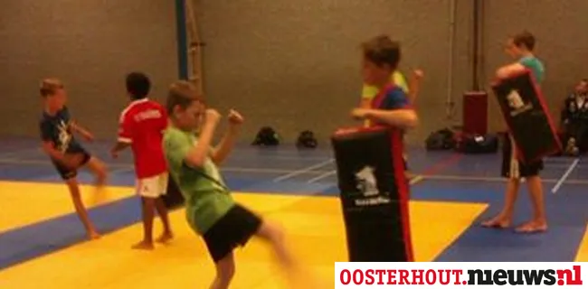 gof8u2m5wz4friv4hjv8urciz budokwai kickbox