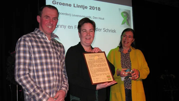 groen lintje