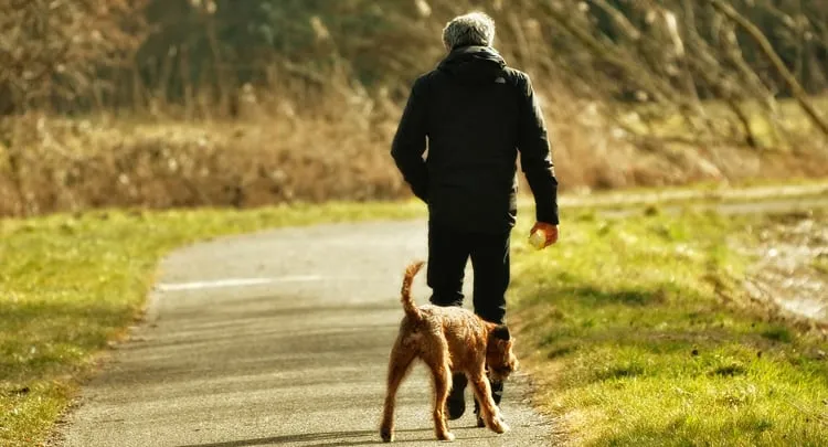 hond uitlaten