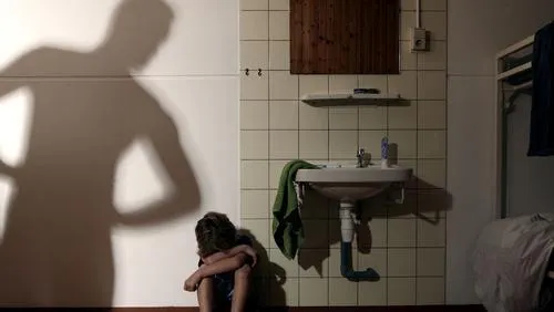 i60pw31mujq5j93fl8unm20dt huishoudelijk geweld anp