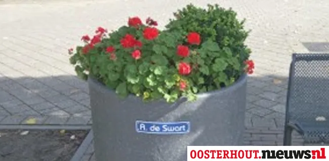 jby0qhn24qkrs6ljwuucsbdnq bloembak dorst