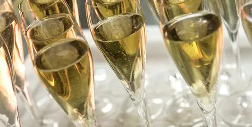 jqgg7ixdpnov34n6op19xwucx champagne