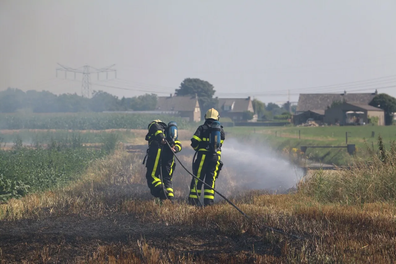 k68oho747r8bmi0tix99jzxaz image2 7