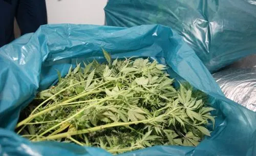 k7xbbg4dn7f4f8qqip3pwnj61 rsov33tuzopc8w32dbbveudrh w500 c