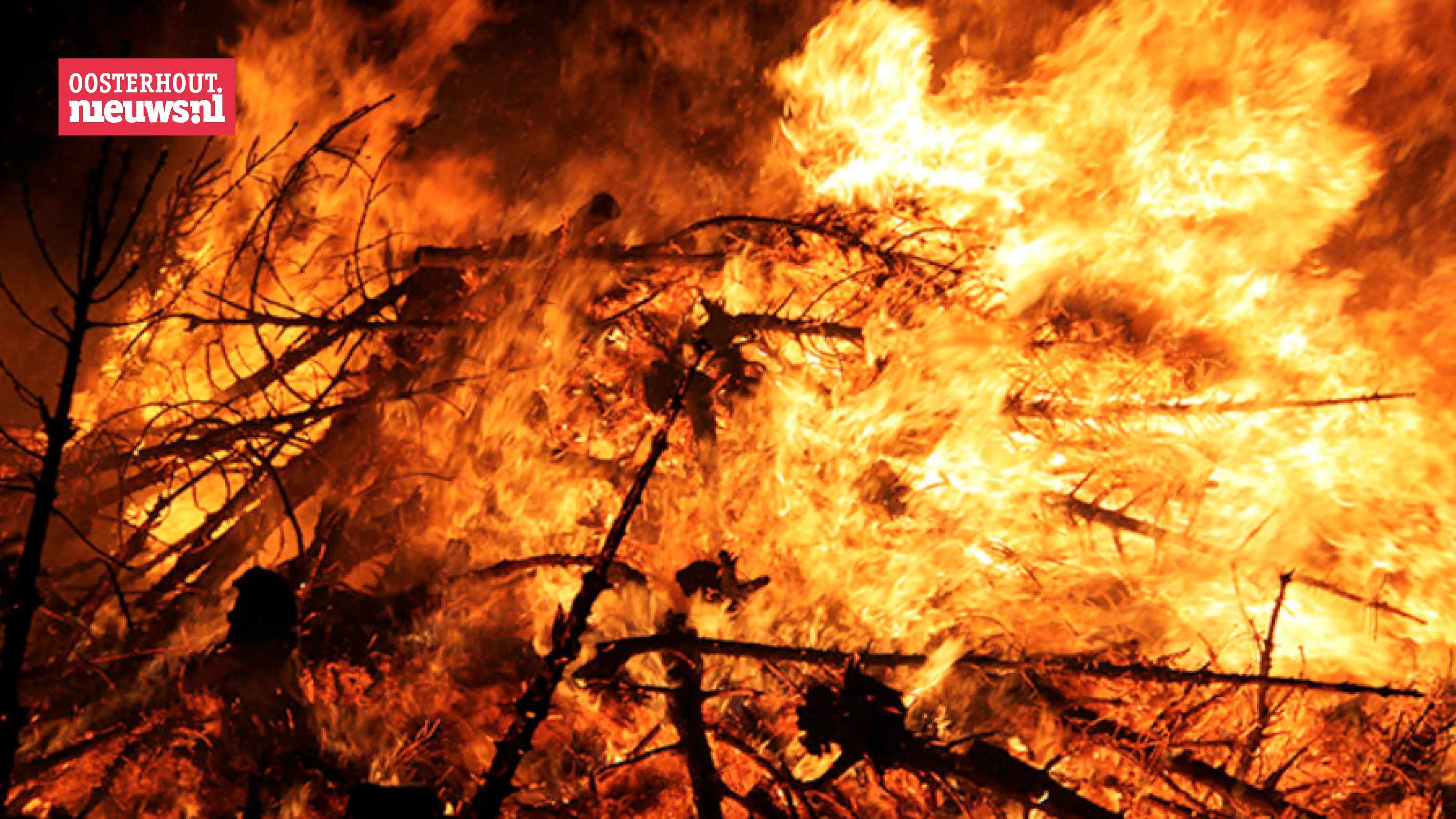 kerstboomverbranding