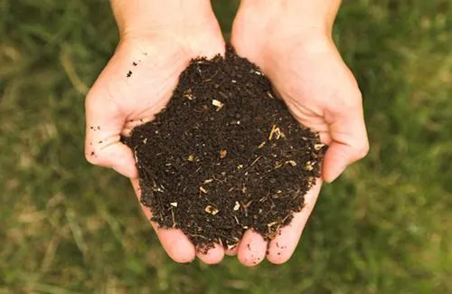 l6qxqm95zgzs7qsuxu29xrdkx compost