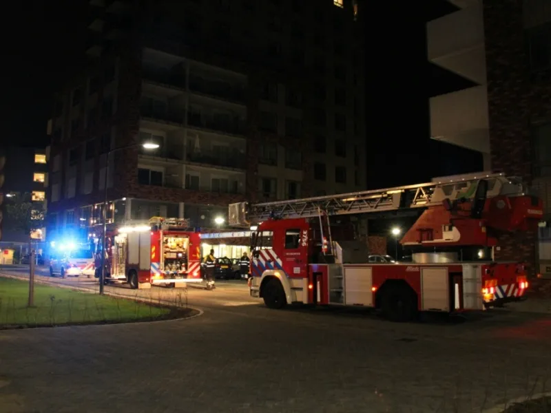 lcz6bsn7vfkwwzw0iatjerq33 brand 4