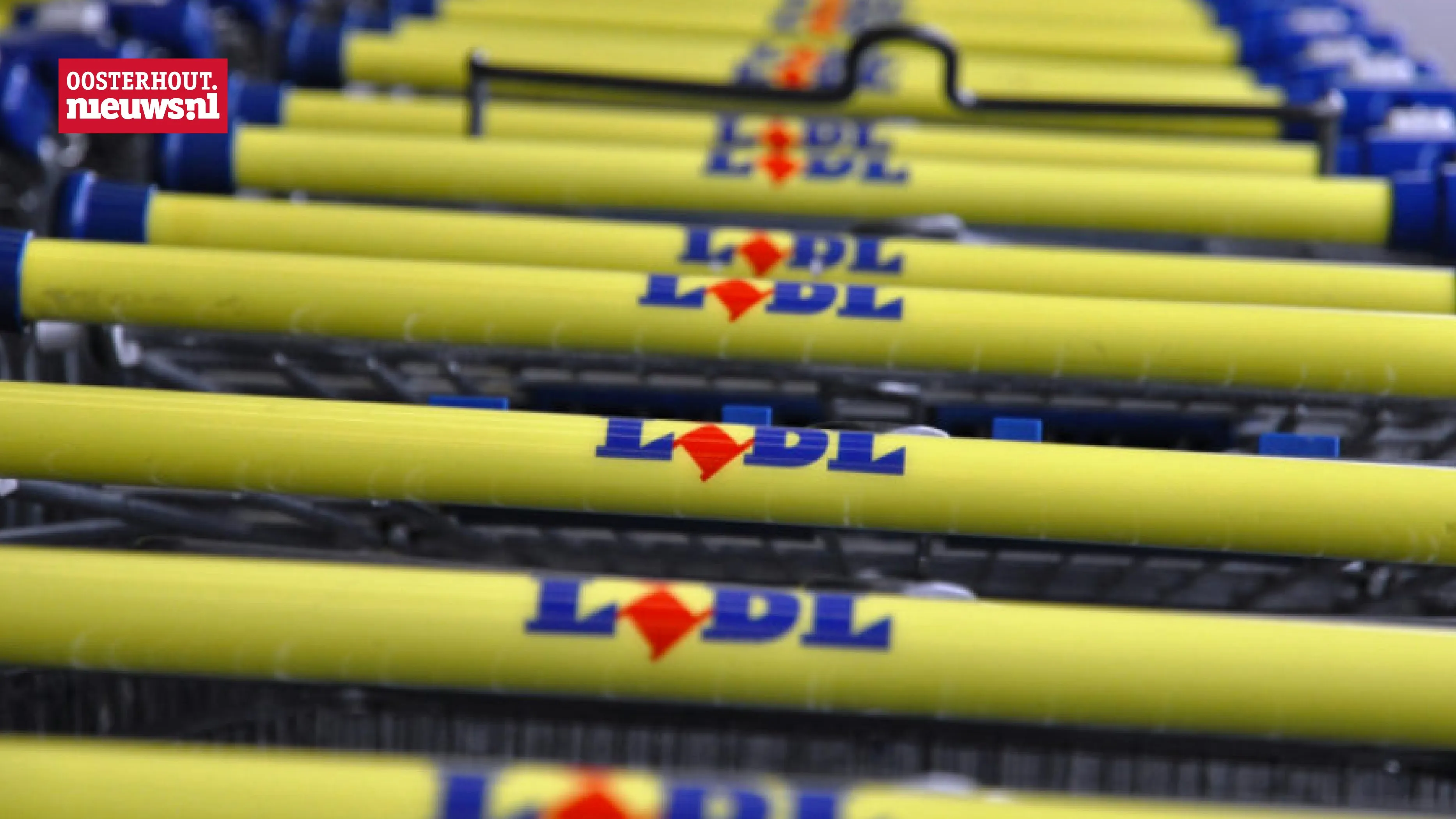 lidl winkelwagentjes