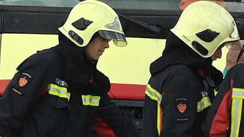 m4lf0ucbo8nzpi5e9jpzl5x6y brandweernovum