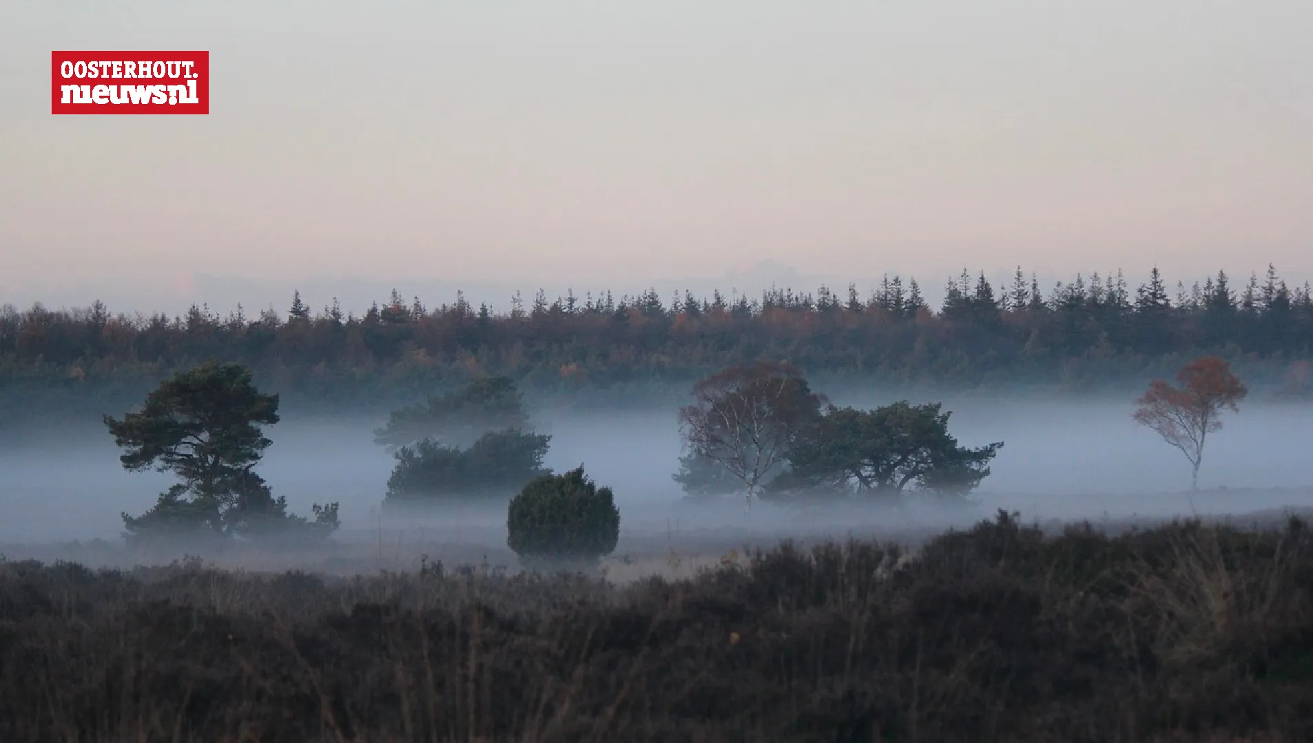 mist veluwe
