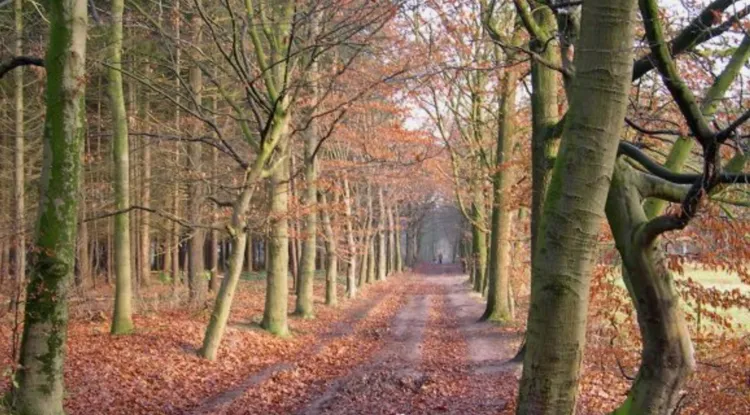 oosterheide