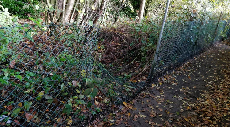 opengeknipt hek erasmus