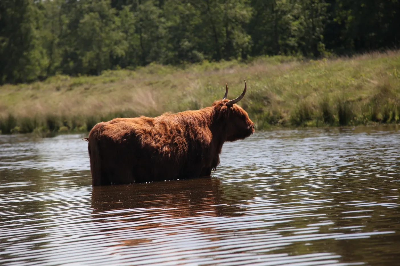 p8yt0rtv2f02jexebob1khad9 1 4