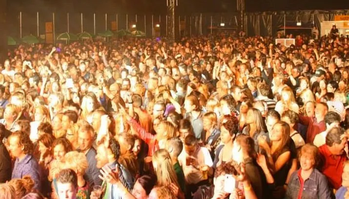 paaspop den hout